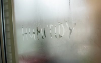 What Is Causing So Much Humidity in My Home in Sulphur, LA?