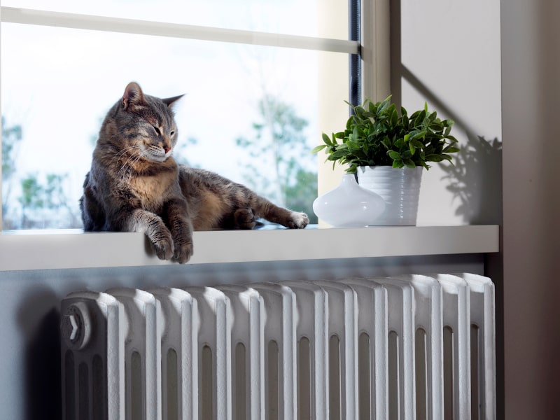 Pet hair can affect HVAC Pet hair can affect HVAC